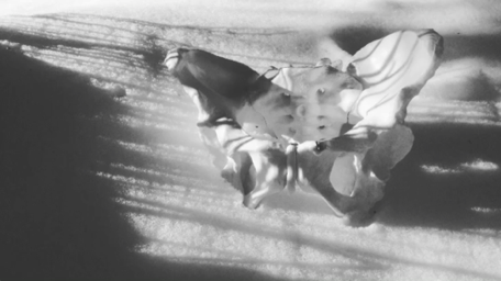 Still from my film, Luzia Still from my film, Luzia